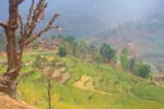 Nepal-0401
