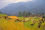 Nepal-0402