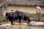 Nepal-0431