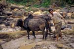 Nepal-0432