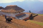 Nepal-0433