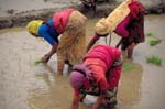 Nepal-0450