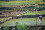 Nepal-0451