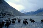 Nepal-0476