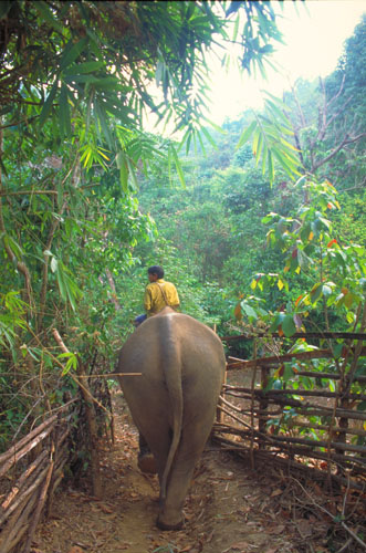 Thailand-0208