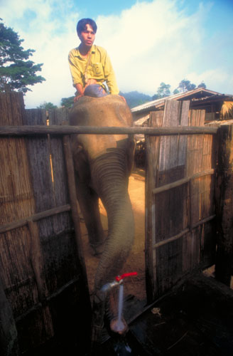 Thailand-0209