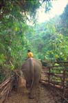 Thailand-0208