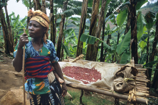 Batwa-Kitahuria-174