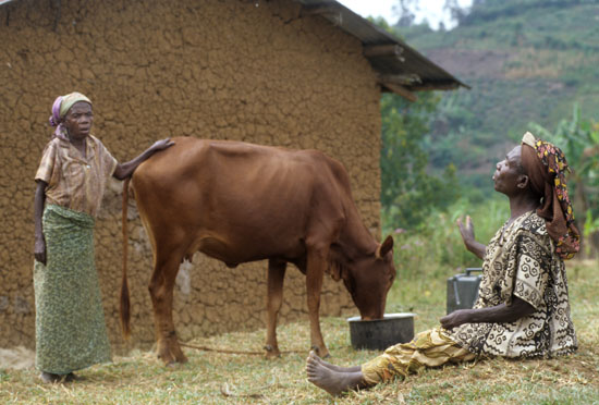 Batwa-Kitario-215