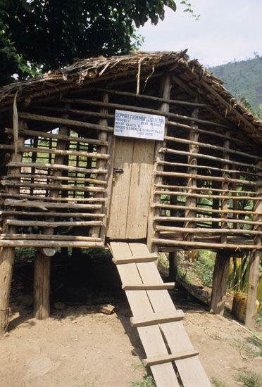 Batwa-Mukongoro-142
