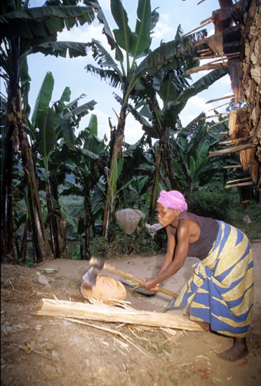 Batwa-Mukongoro-168