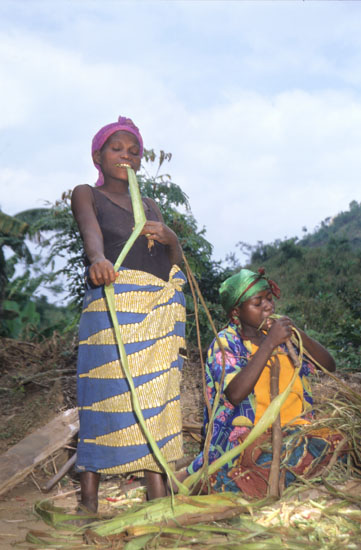 Batwa-Mukongoro-194