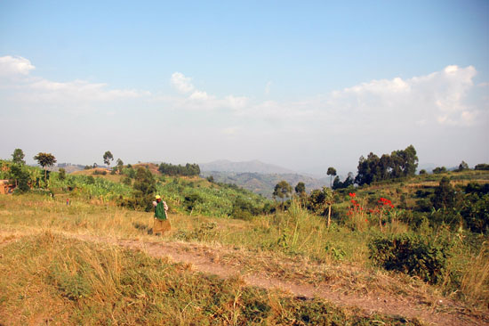 Uganda-scenery-010