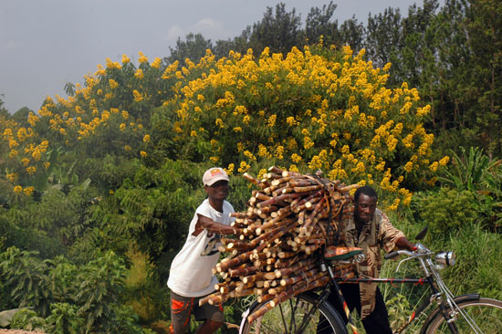 Uganda-scenery-027