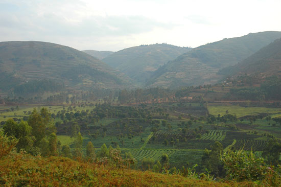 Uganda-scenery-034