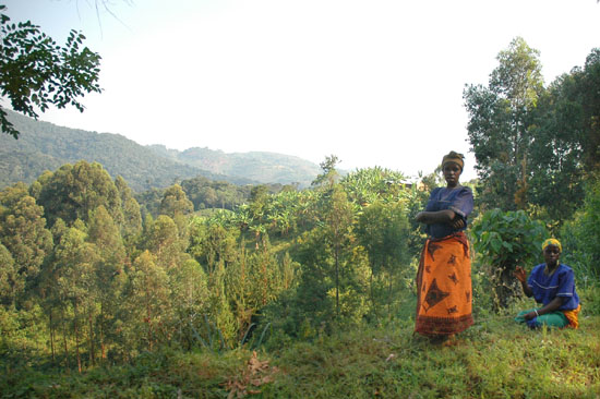 Uganda-scenery-038