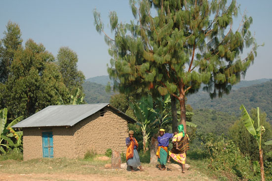 Uganda-scenery-039