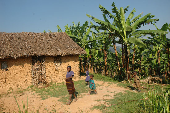 Uganda-scenery-040