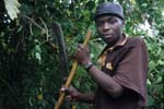 Batwa-Mukongoro-223