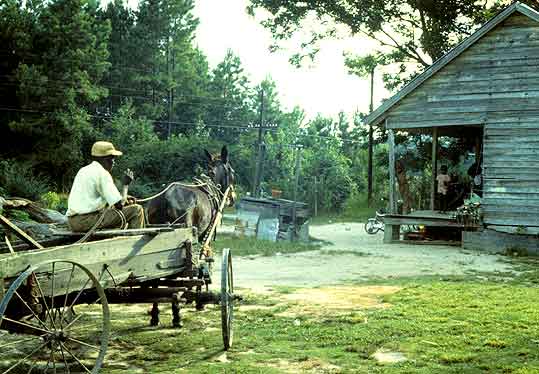40 acres and a mule