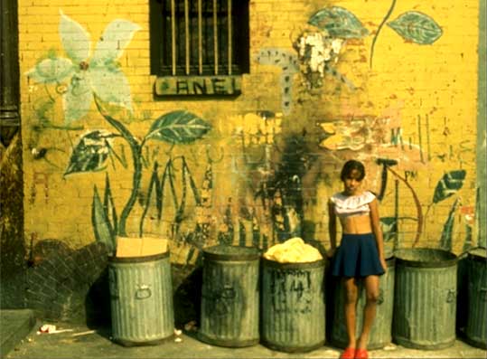 En rose i spansk Harlem�