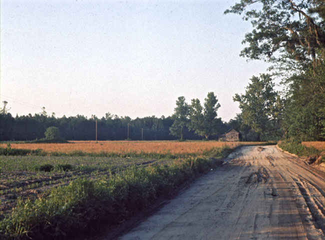 usa-02197