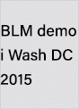  BLM demo i Wash DC 2015