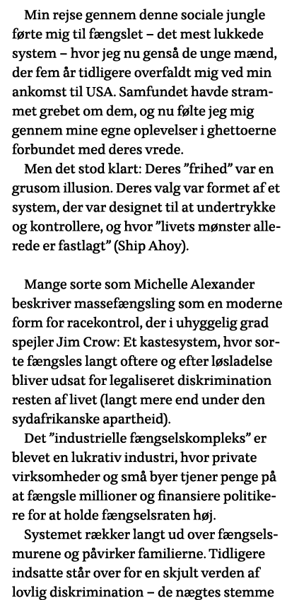 Min rejse gennem denne sociale jungle førte mig til fængslet - det mest lukkede system - hvor jeg nu genså de unge mæ   