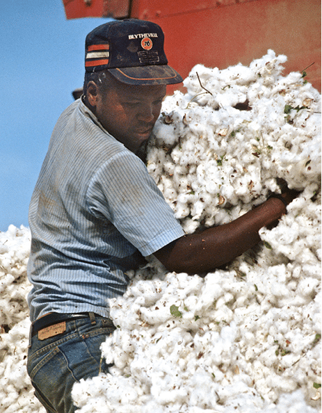 2004 - rural Arkansas 