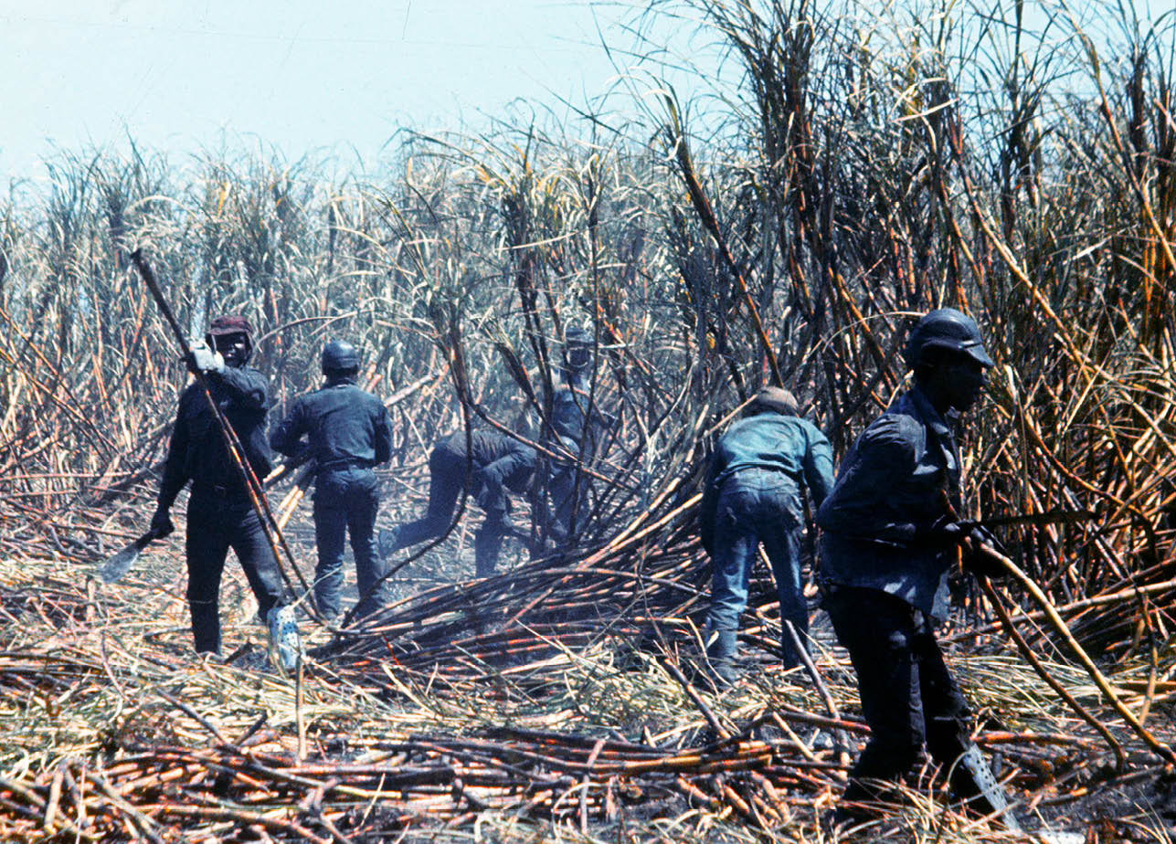 1974 - Palm Beach County, FL 