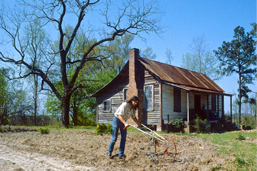  Two acres and a (Danish) mule  in 1984
