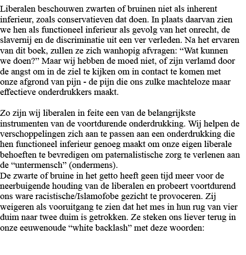 Liberalen beschouwen zwarten of bruinen niet als inherent inferieur, zoals conservatieven dat doen  In plaats daarvan   
