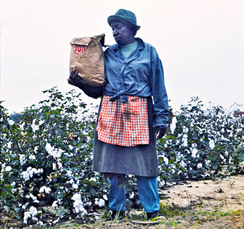 1973 - Allendale County, SC