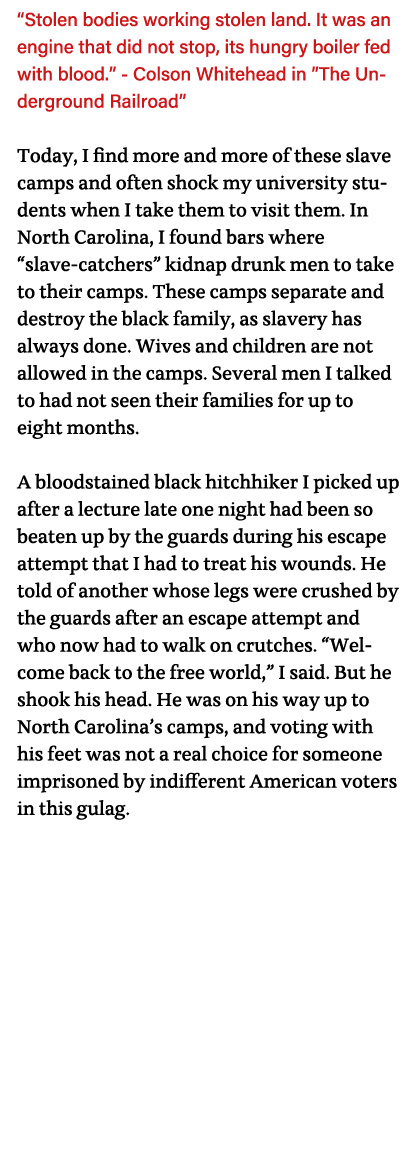  Stolen bodies working stolen land  It was an engine that did not stop, its hungry boiler fed with blood   - Colson W   