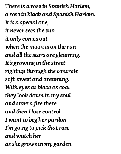 There is a rose in Spanish Harlem, a rose in black and Spanish Harlem  It is a special one, it never sees the sun it    