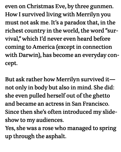 even on Christmas Eve, by three gunmen  How I survived living with Merrilyn you must not ask me  It s a paradox that,   
