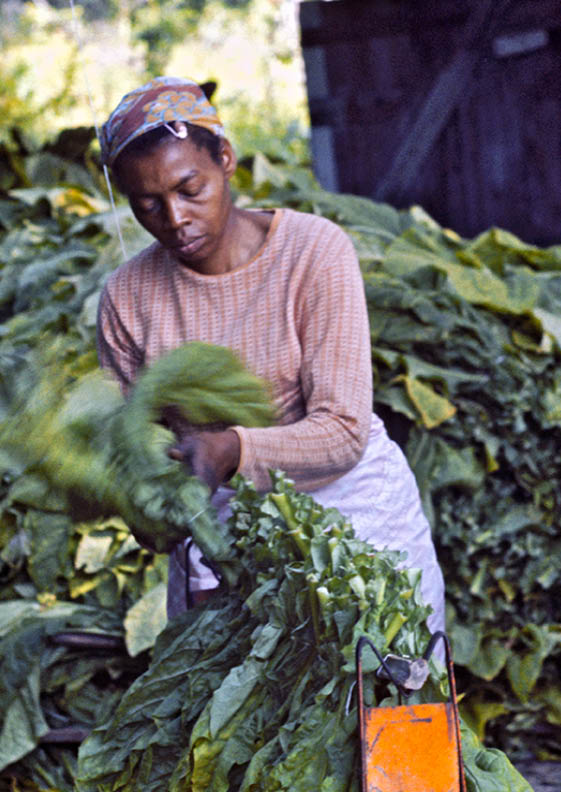 1974 - rural Bethel, NC