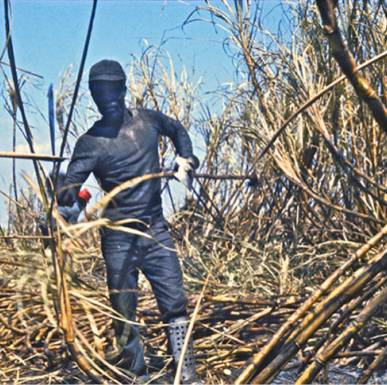 1974 - rural Palm Beach County, FL