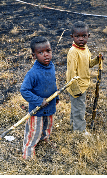 1974 - rural Houma, LA