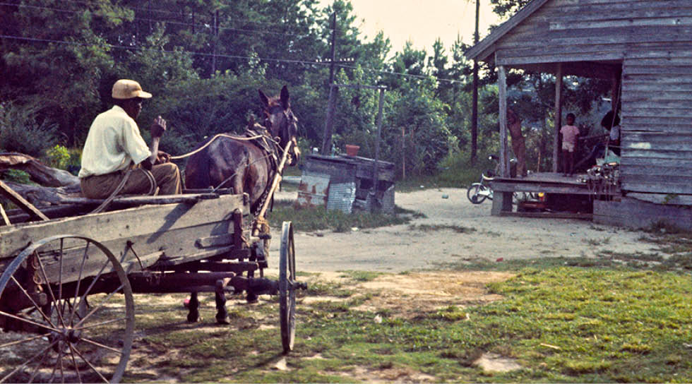 1974 - rural Greenville, NC