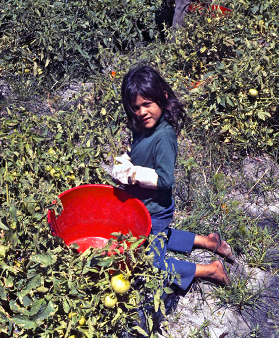 1974 - Hwy 29, FL