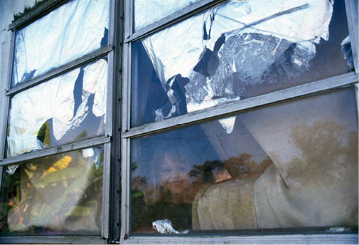 Angel waving good bye to us from the trailer