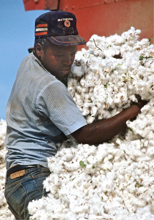 2004 - rural Arkansas 