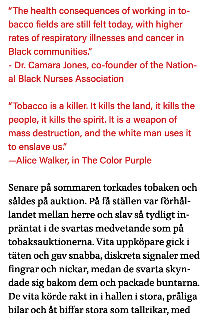  The health consequences of working in tobacco fields are still felt today, with higher rates of respiratory illnesse   