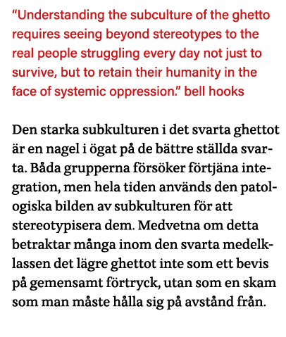  Understanding the subculture of the ghetto requires seeing beyond stereotypes to the real people struggling every da   