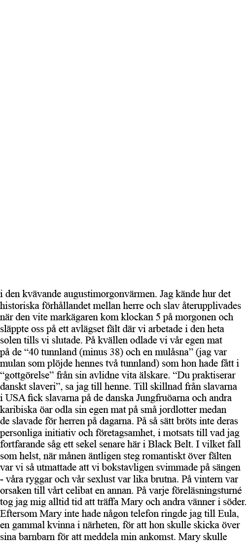 i den kvävande augustimorgonvärmen  Jag kände hur det historiska förhållandet mellan herre och slav återupplivades nä   