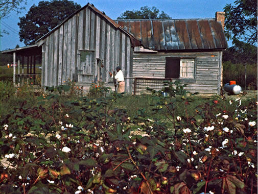 1996 - rural Selma, AL 