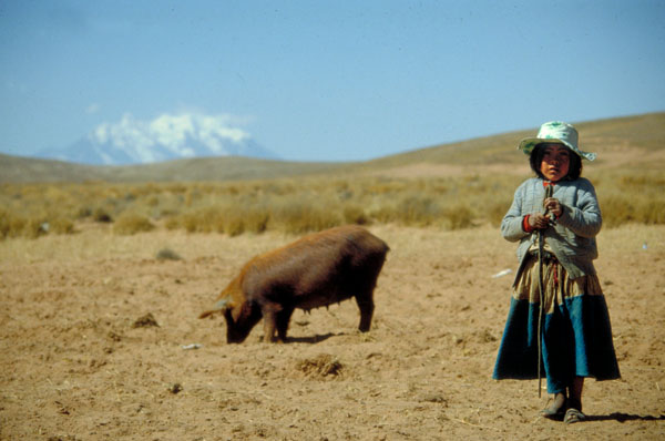 bolivia-0433