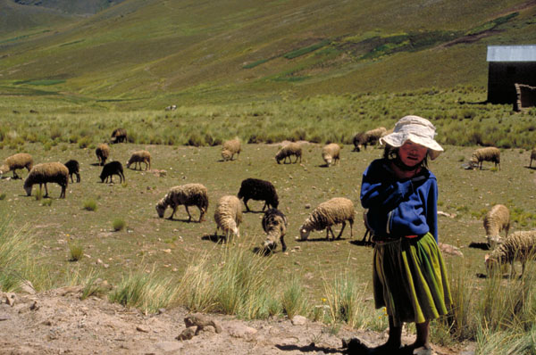 bolivia-0436
