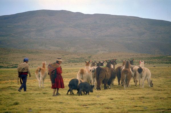 bolivia-0464